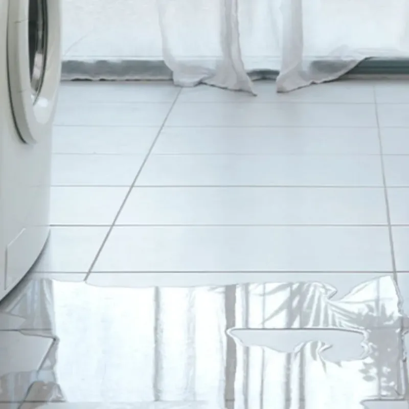 Appliance Leak Cleanup in Durant, MS