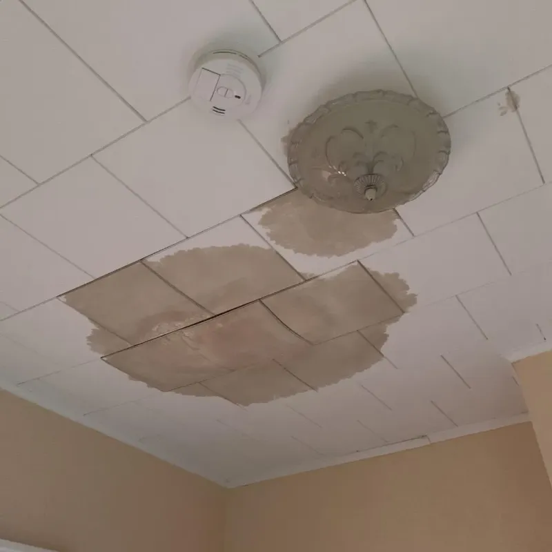 Ceiling Water Damage Repair in Durant, MS