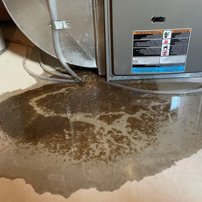 Pipe Burst and Leak Restoration in Durant, MS