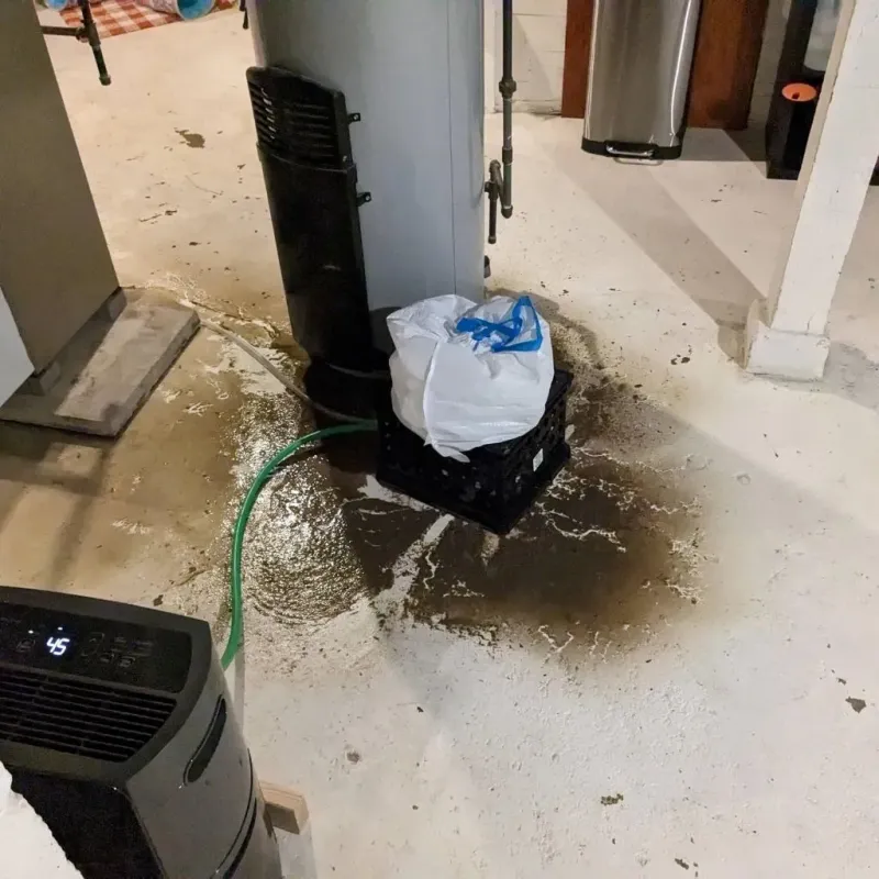 Sewage Backup Cleanup Service in Durant, MS